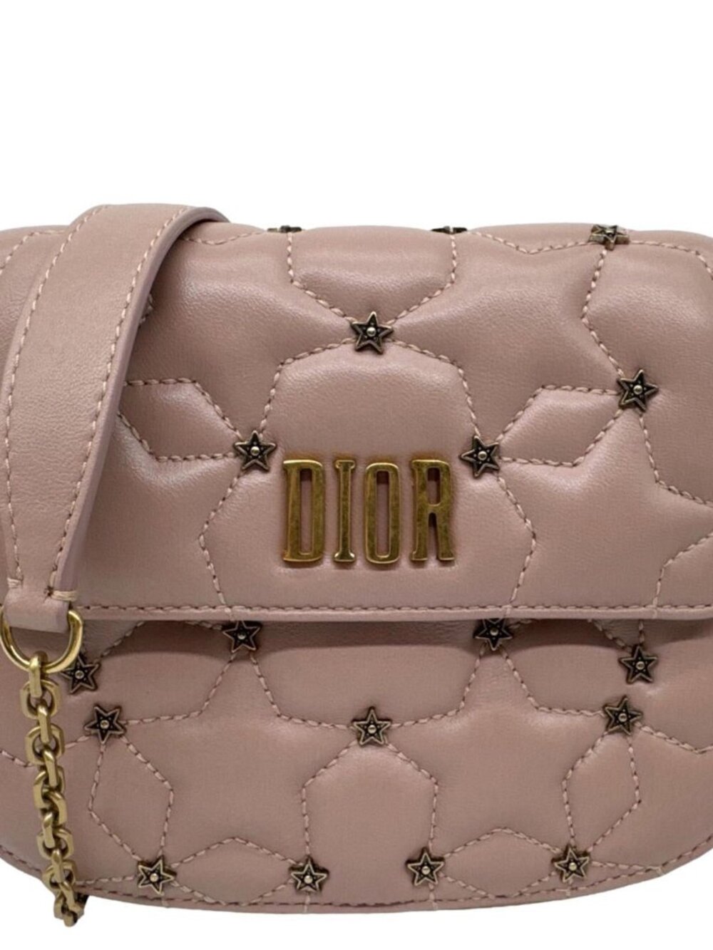 Christian Dior  Dio(r)evolution Small Studded Leather Round Chain Clutch Pink